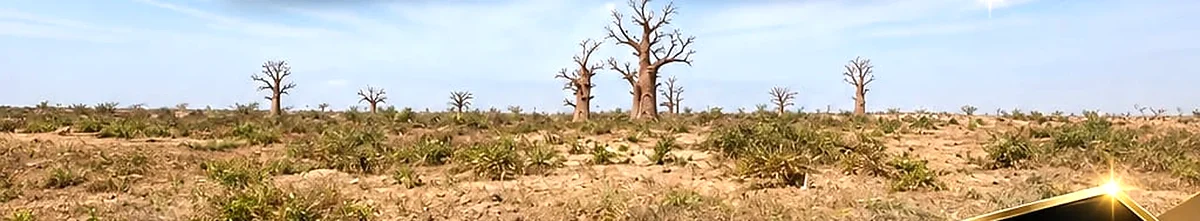 Terrain du lotissement Djibril Mbengue a Thies, Senegal